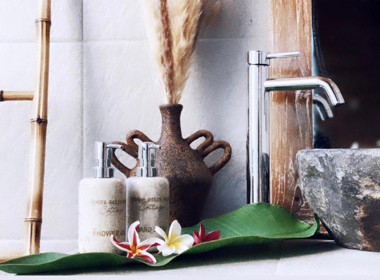 Penida Green Palm Cottage By Bali Cabin Toyapakeh Zewnętrze zdjęcie